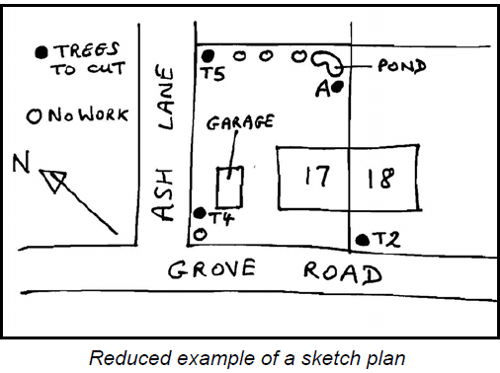 Example tree sketch plan