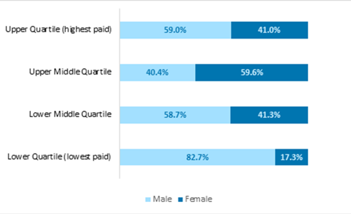 Gender pay gap report graph 2023 to 2024